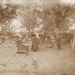 Drie mensen bij meer dan 12 bijenkorven